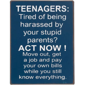 Teenagers -magneetti