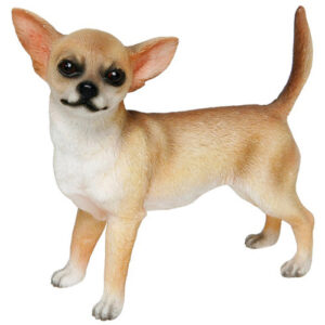 Chihuahua-patsas