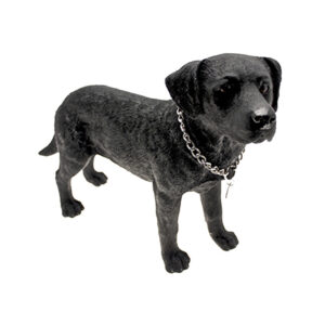 Musta labrador-patsas iso 50 cm