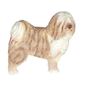 Tiibetinterrieri-patsas 10 cm