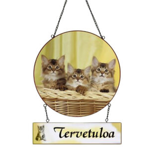 Tervetuloa-kyltti Kissat*
