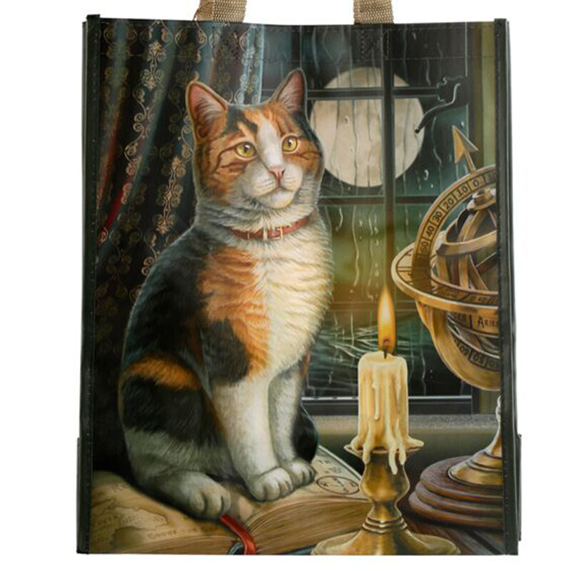 Kestokassi Istuva Kissa