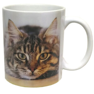 Kissamuki Harmaaraita