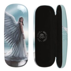 Silmälasikotelo - Isosiipienkeli