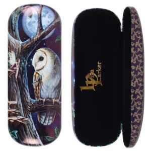 Silmälasikotelo - Pöllö