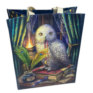 Kestokassi Pöllö ja lamppu