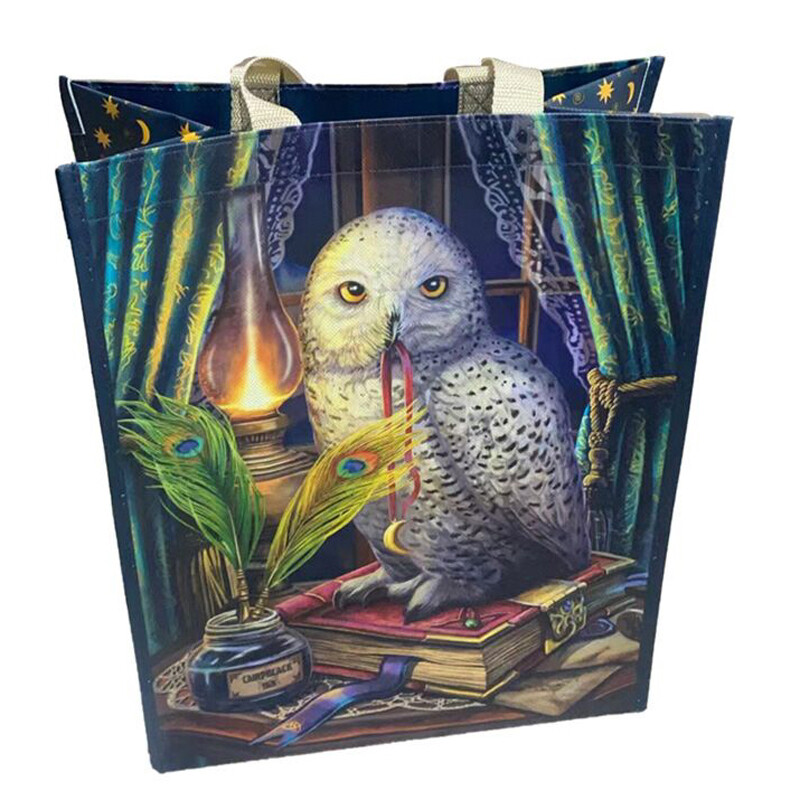 Kestokassi Pöllö ja lamppu