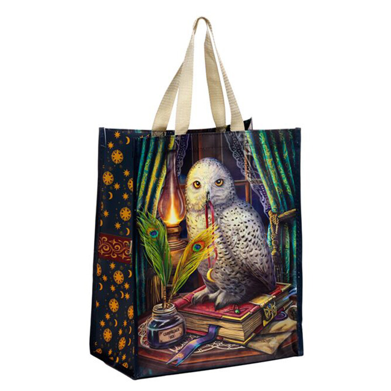 Kestokassi Pöllö ja lamppu - Image 2