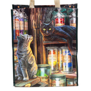 Kestokassi Kissat ja tuoksujen maailma