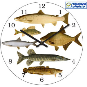Seinäkello - Kalat