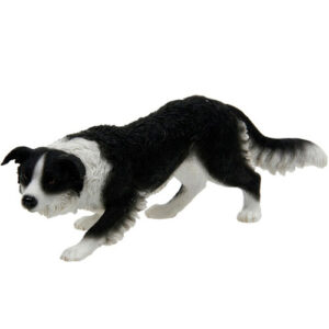 Bordercollie -patsas