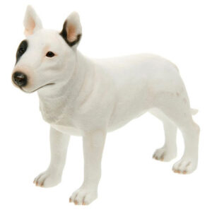 Bullterrieri -patsas