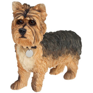 Yorkie -patsas iso 44 cm