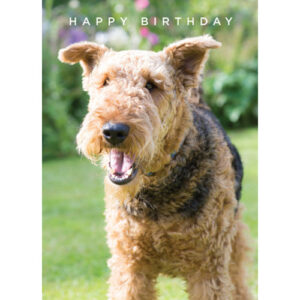 Happy Birthday -kortti koira