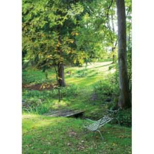 Puistomaisema -kortti