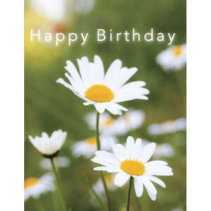 Happy Birthday -kortti Päivänkakkarat