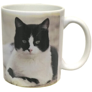 Kissamuki Mustavalkoinen