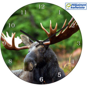 Seinäkello - Hirvi